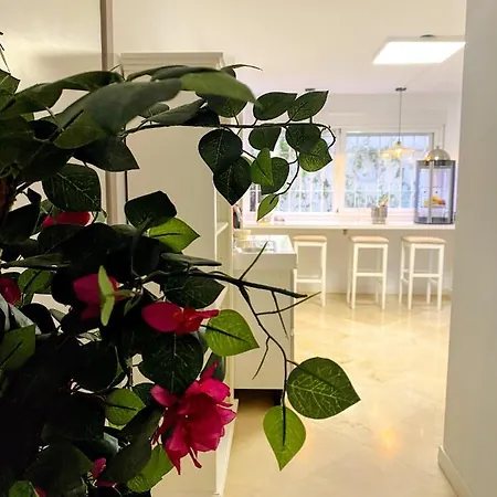 Apartment Apartamento Casablanca Granada